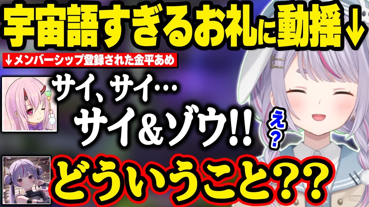 意味不明すぎるお礼の言い回しをする金平あめに困惑するみみたやww【兎咲ミミ/ぶいすぽ】#ぶいすぽっ