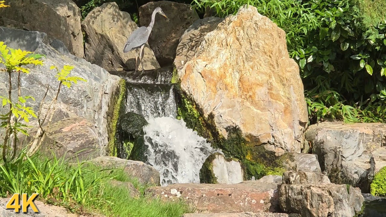 Majestic Waterfall Paradise | 4K Nature Relaxation