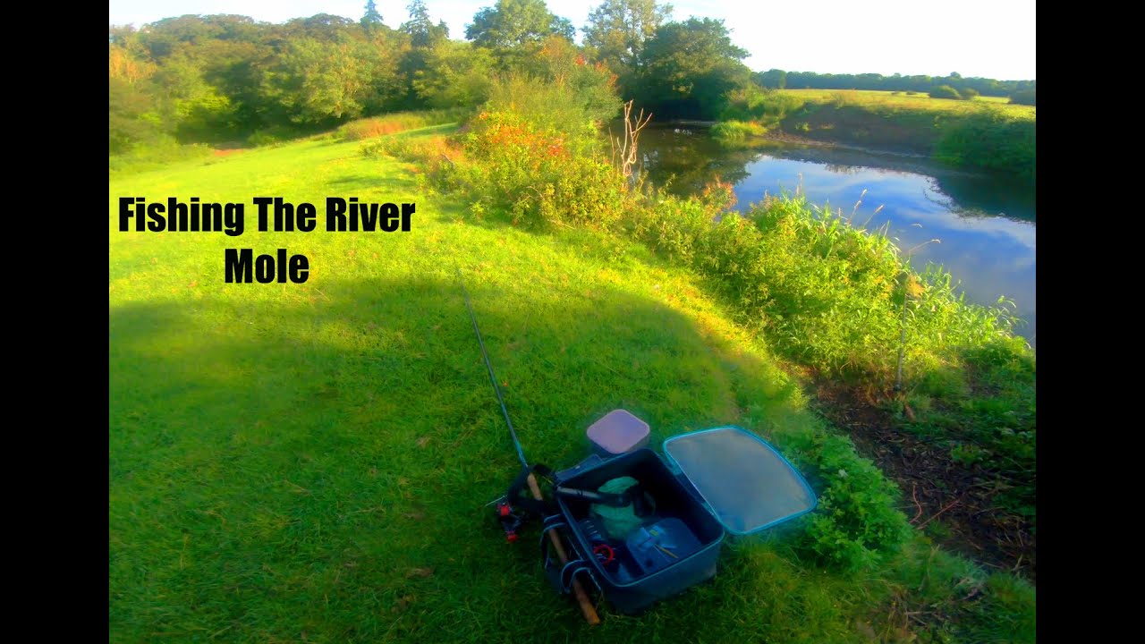 Fishing The River Mole, and some underwater life.