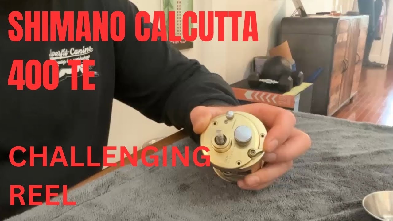 How to Service a tricky Shimano Calcutta TE 400 Baitcaster
