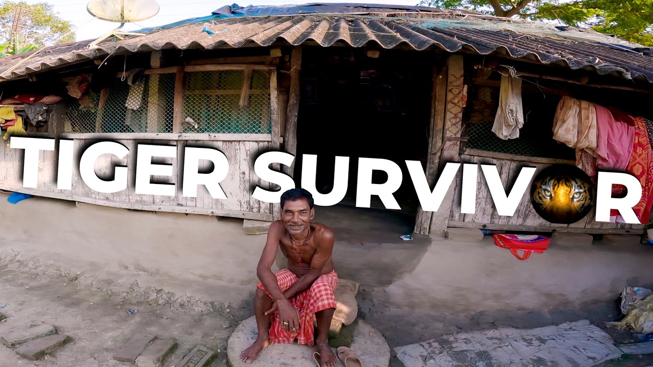 Survived the Sundarbans Tiger Territory | Village Life & Boat Adventures