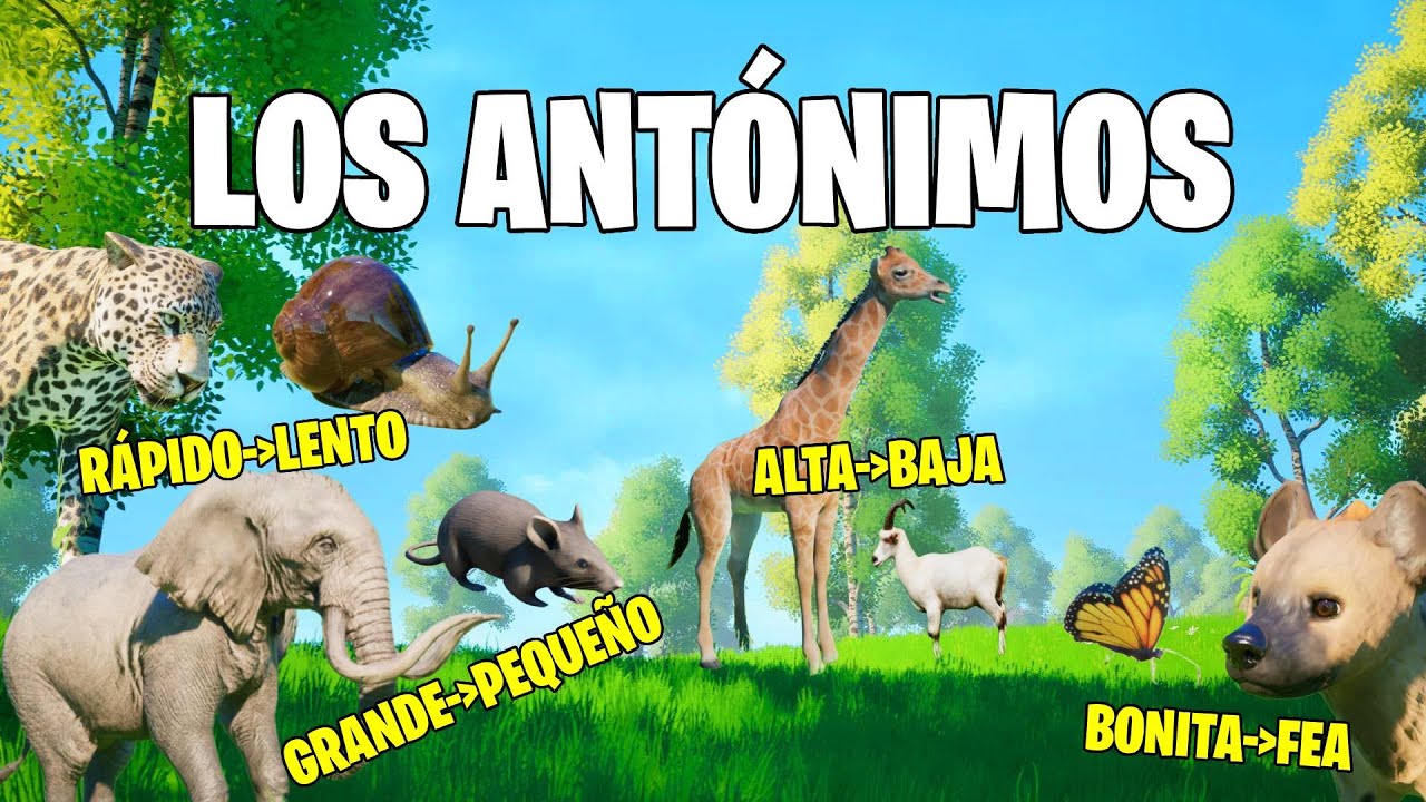 Los Ant&oacute;nimos F&aacute;cil para Ni&ntilde;os | V&iacute;deos Educativos para Ni&ntilde;os