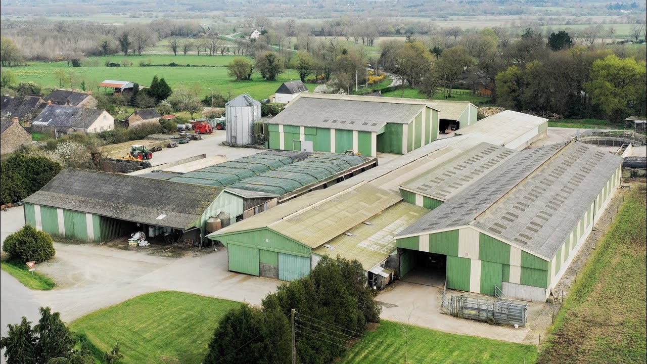 🐮Le printemps à la Ferme 🌱