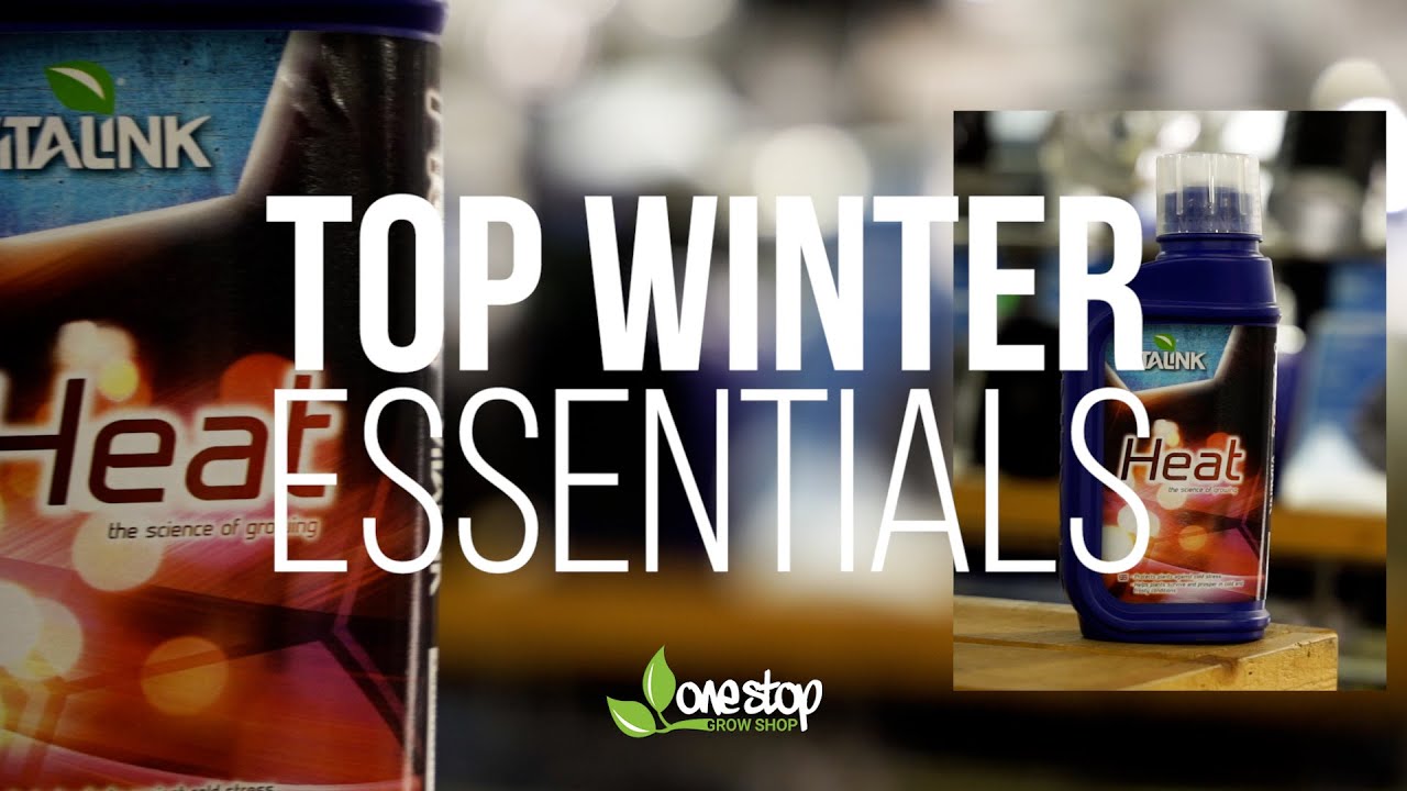 One Stop's Winter Essentials
