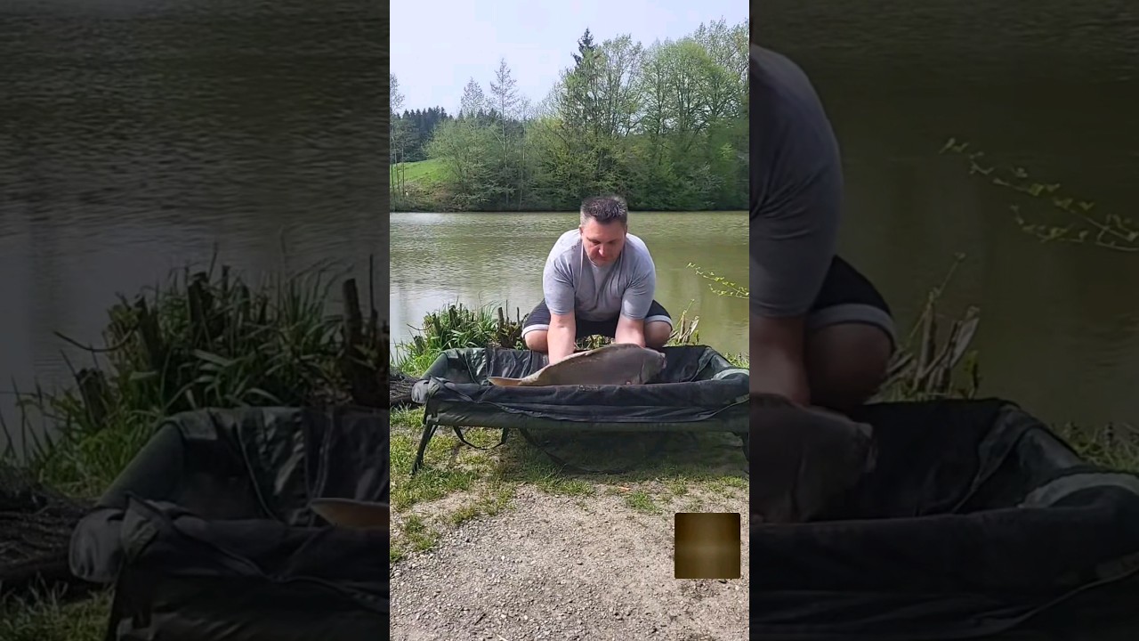 Carpfishing Austria 2024 #carpfishing #carp #angeln #karpfen #foryou #shimano #fishing #bigfish #4k