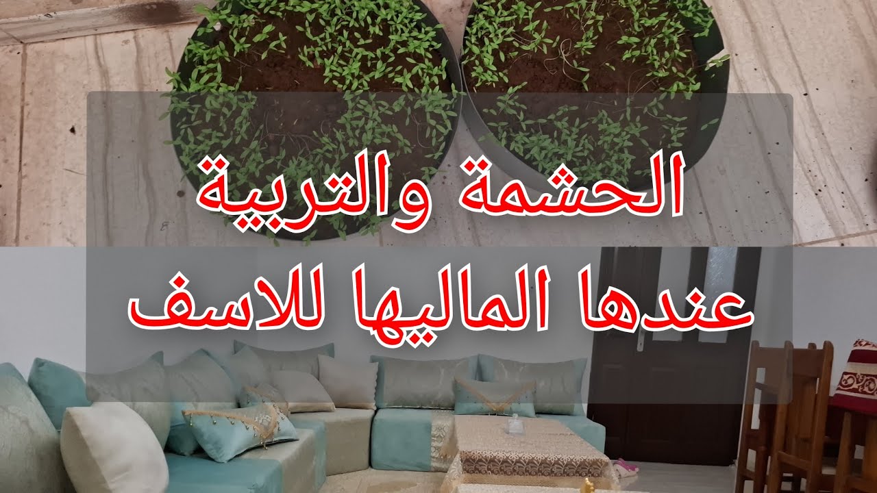 اللي مربي من عند ربي 😍واللي قلبه كحل ميعرفش الحشمة