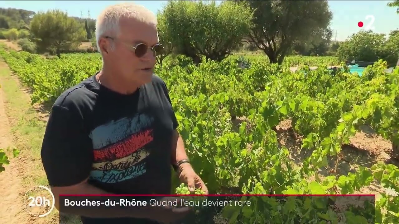France 2 - Reportage S&eacute;cheresse &agrave; Allauch