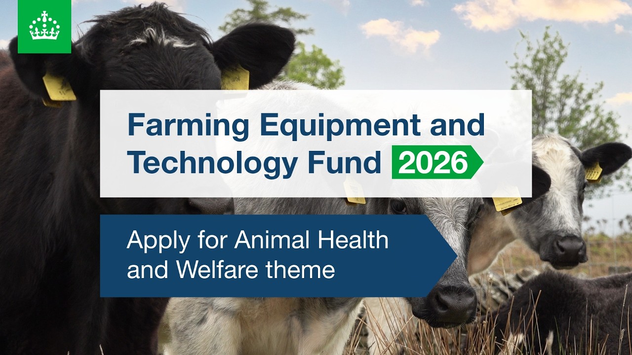 Подайте заявку на участие в программе «Здоровье и благополучие животных» — Фонд развития сельскох...