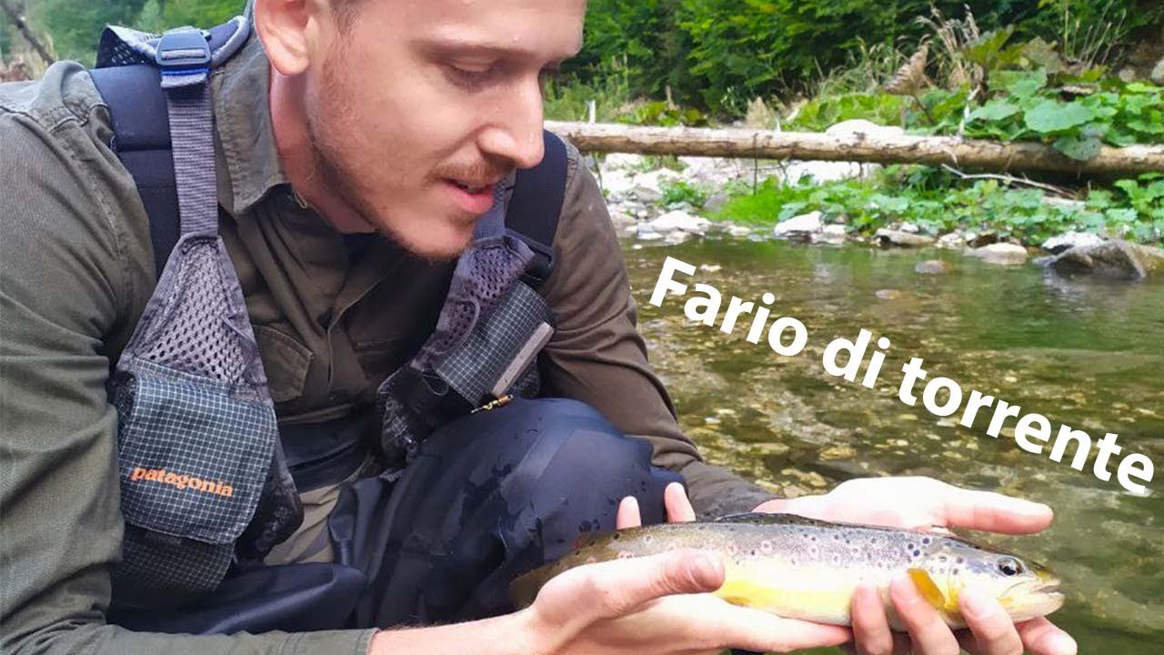 Una nuova avventura di #pesca (fario in zona no kill)