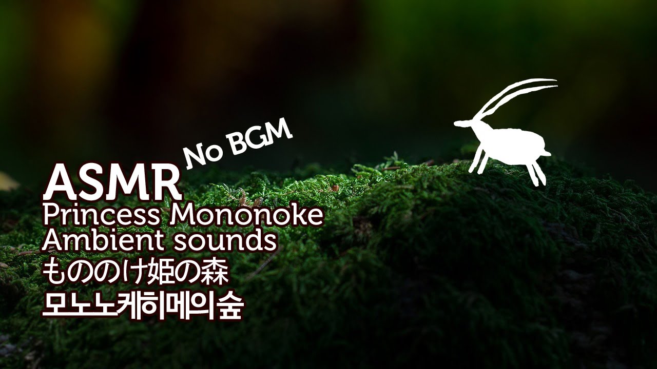 ASMR No BGM Princess Mononoke 3D Ambient Sounds | 모노노케히메의 숲 입체 음향 | もののけ姫の森 | 원령공주