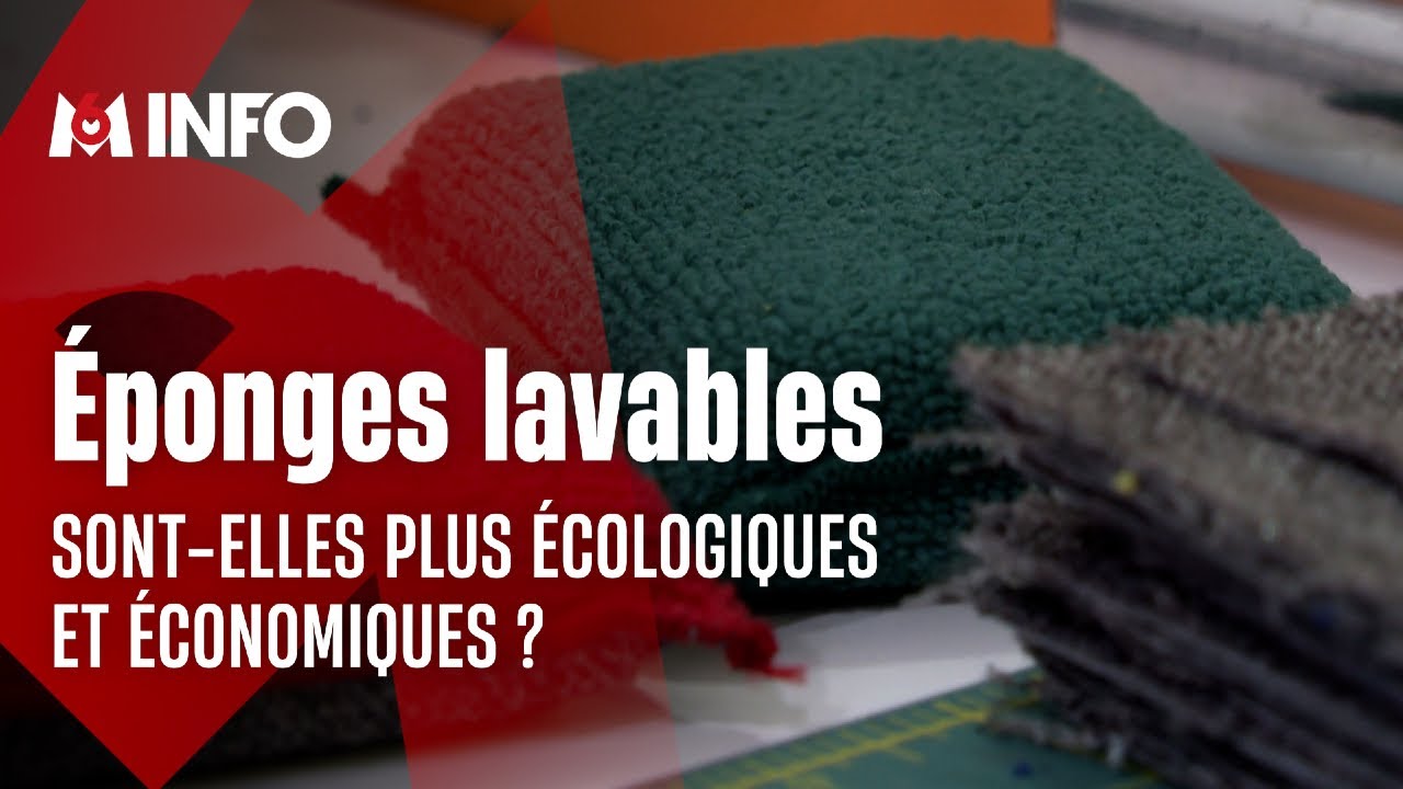Que valent les &eacute;ponges lavables ?