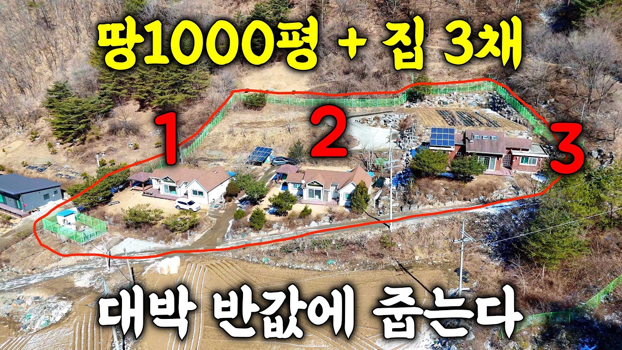 땅만 1,000평인데 이 가격? 3채 한꺼번에 다 드립니다! 2억대까지 떨어질 '기회의 땅' 공개