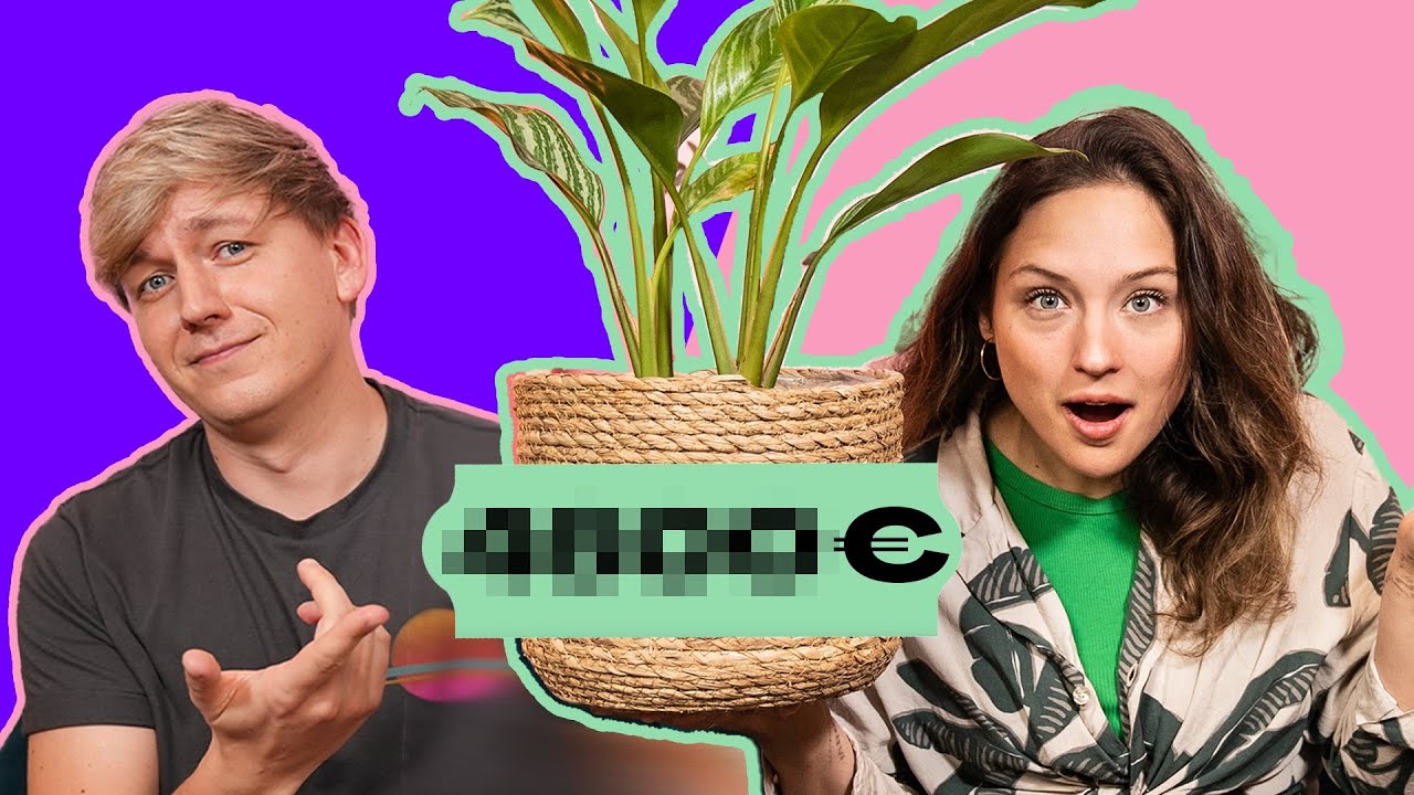 SO viel sind Monstera und Co. WIRKLICH wert!