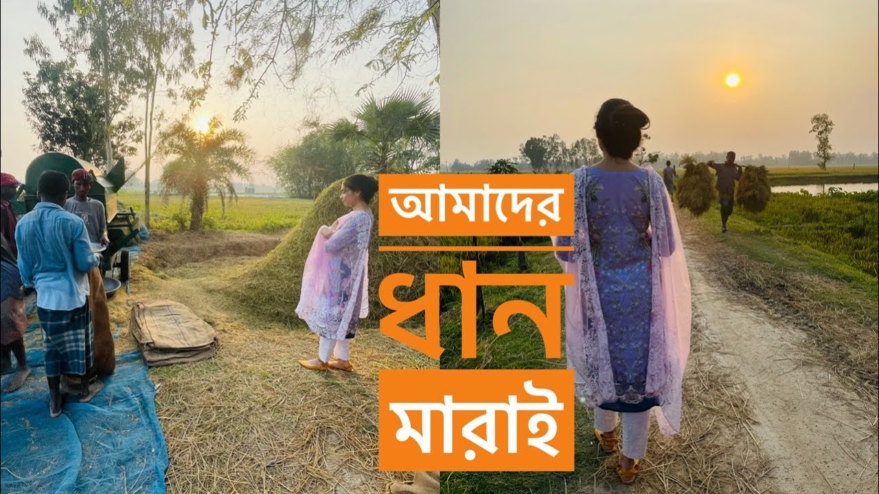 আমাদের ধান মারাই🏡 NOUREEN AFROSE