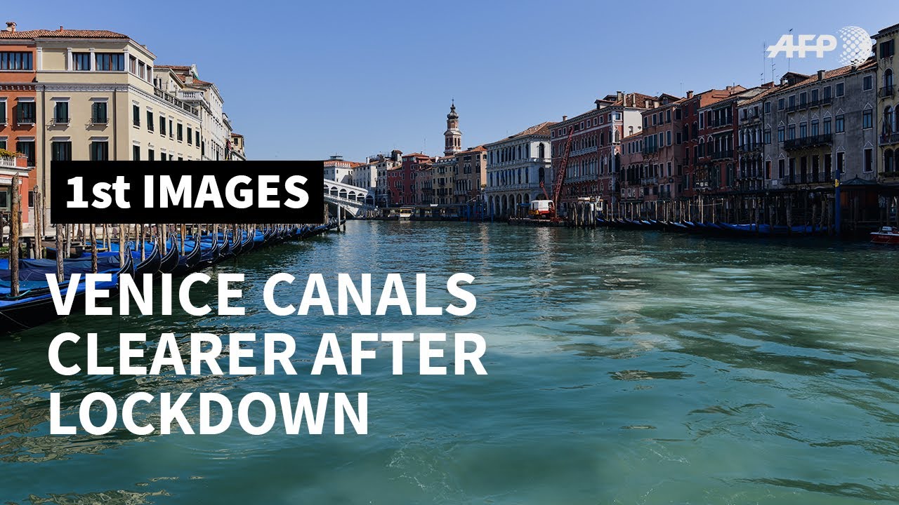 Venice canals clearer due to lack of tourists and traffic | AFP