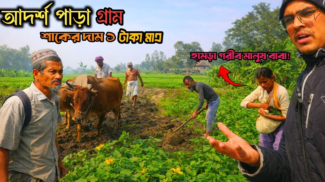 যে গ্রামের নারীরা প্রধান আয়ের মাধ্যম | আদর্শপাড়া গ্রামের কৃষক|পালিচড়া বাজার Real Village Farmers  