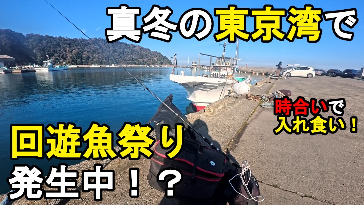 【千葉県某所】真冬の東京湾で回遊魚祭り発生！？厳寒期の時期に、関東地方にある房総半島の内房の地域にある釣り場で、餌釣りとルアー釣りで、夜釣りと朝まずめ狙いで海釣りをしてみたら…！【2026年2月上旬】
