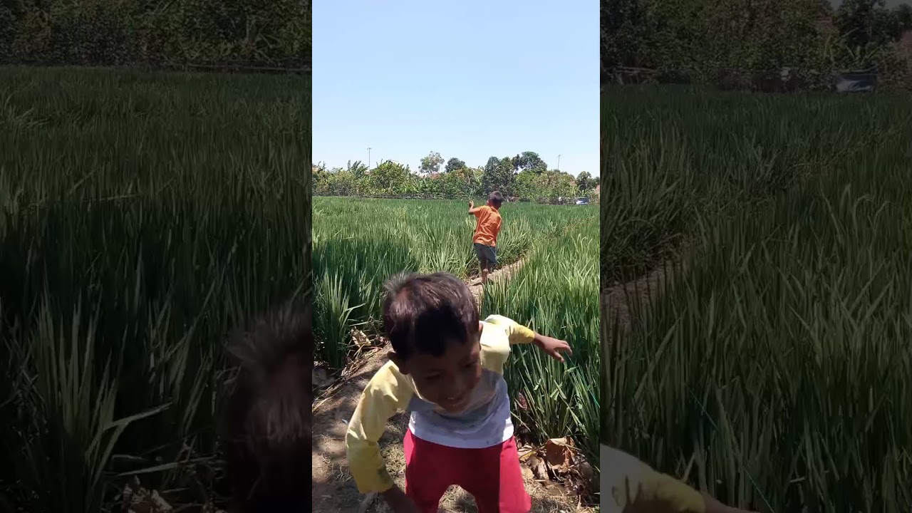 Bermain Layang-Layang!!! hampir terbawa terbang layang-layang😁