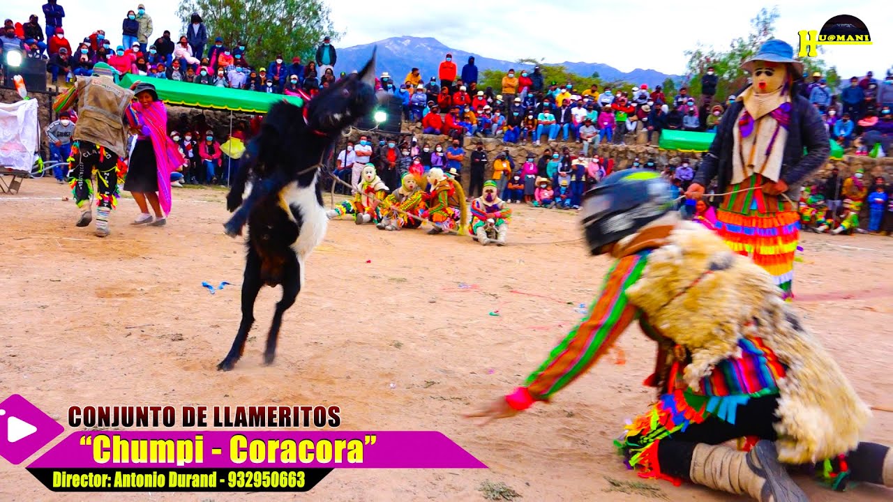 LLAMERITOS CHUMPI CORACORA EN S.S.SACRACA 2022/Parinacochas Ayacucho 2022 HUAMANI Producciones