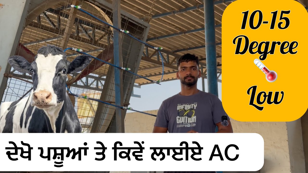 Pashuo 🐄 ko garmi se kaise bachaye | SA DAIRY FARM | right way of fogger and sprinkle system |