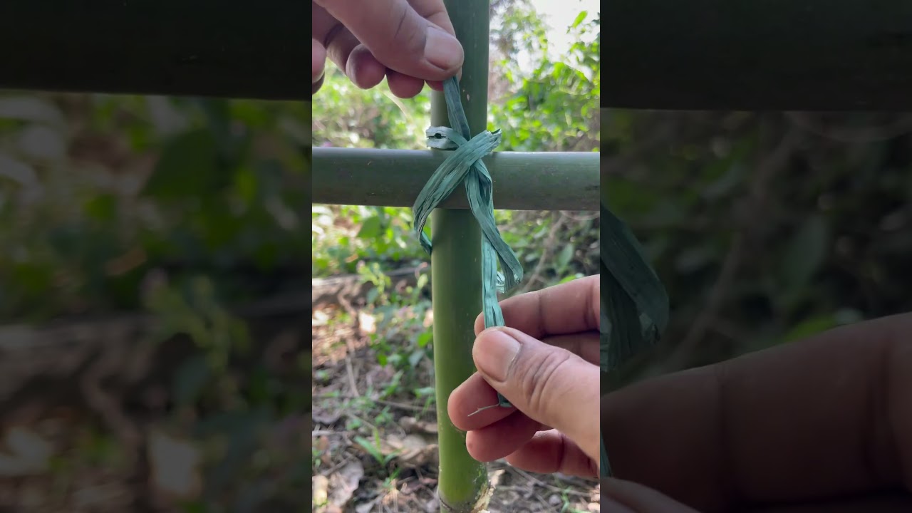 Useful in Bamboo Fencing for Garden! #garden #shorts