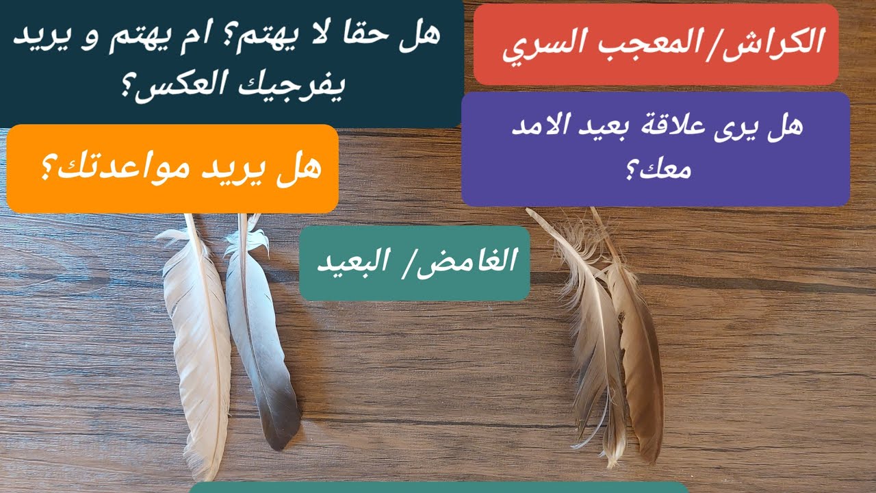 #الكراش #المعجب_السري هل حقا لا يهتم او انه يمثل عليك؟ هل شديد الاعجاب🥰هل يريد علاقة؟#تاروت_بالعربى