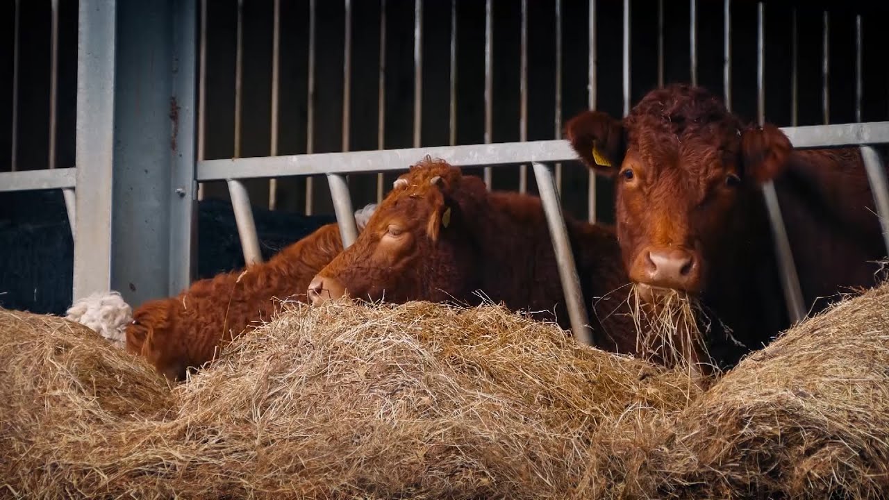 How Farmers Make Hay | The Henry Ford's Innovation Nation