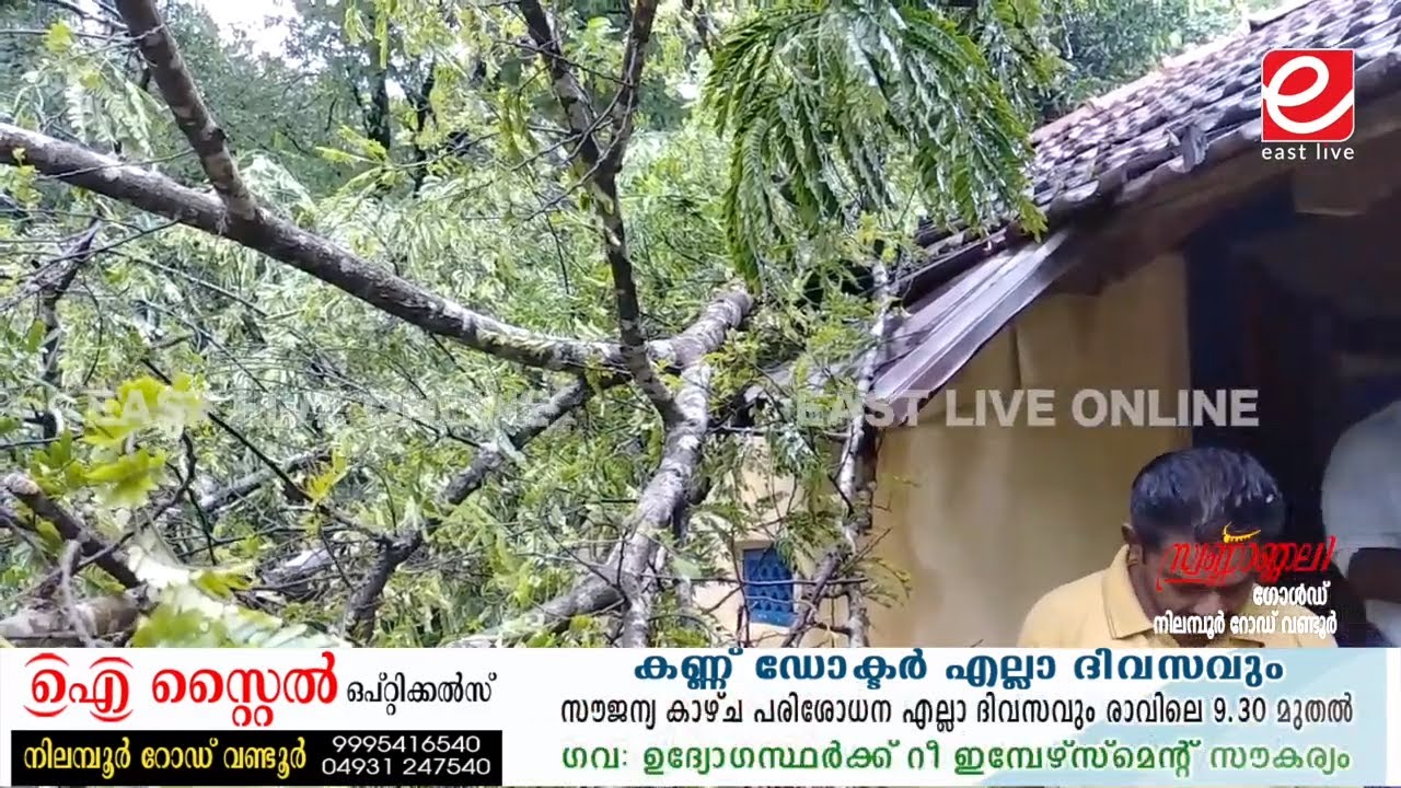 കാറ്റിൽ മരം വീണ് വീട് തകർന്നു ll EAST LIVE WANDOOR ll PORUR NEWS