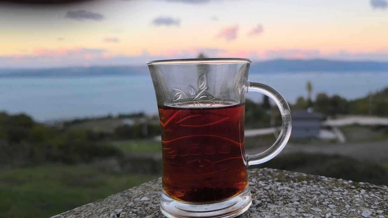 Sumplu pipo ve Sayroom videoları çekildi Son Durum 🥰  ,Akvaryum Balıkları