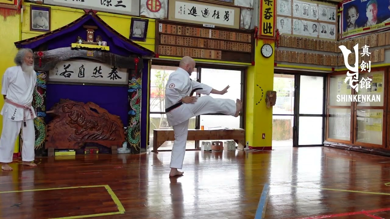 Hanshi Hokama Tetsuhiro Shisochin Kata Notes