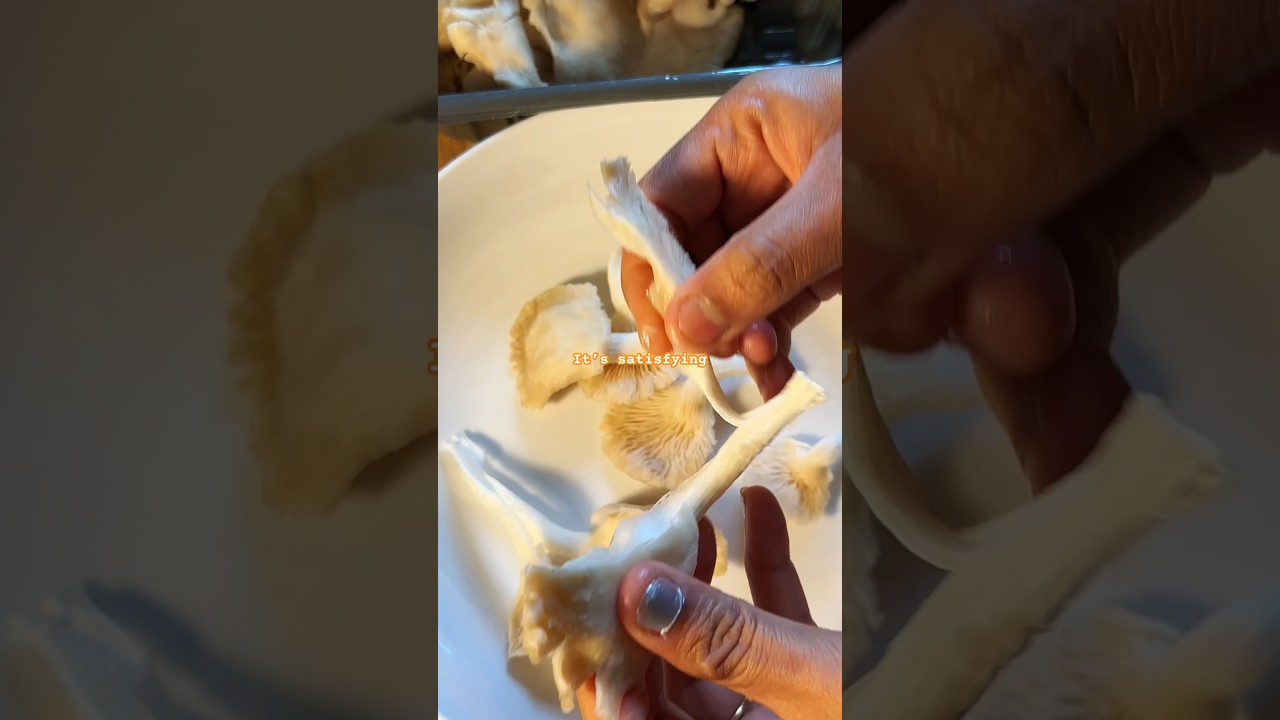 How to clean oyster mushrooms #coriandertouch #food #cooking #oystermushrooms #mushroom
