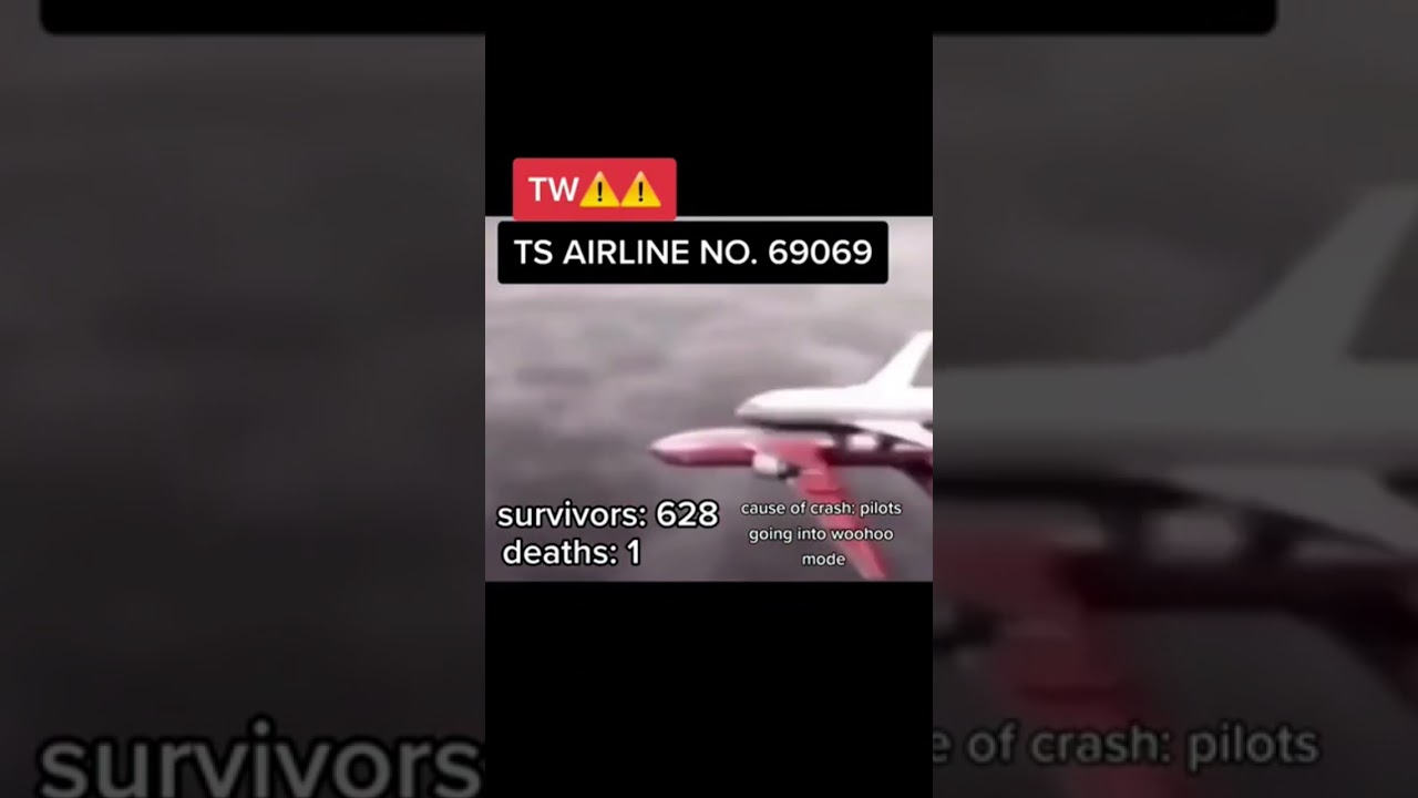 How 737 Was Born #sus #shorts #airplanes #meme