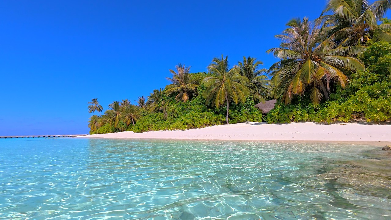 Relaxing Ocean: Calming Waves From Maldives. Ocean Sounds. Ocean Background 4K Ultra HD