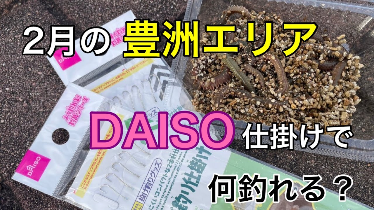 【晴海臨海公園】DAISO仕掛けで良型ゲット！