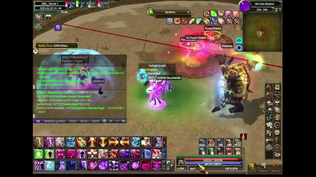 Dekaron Global Segnale vs Summy