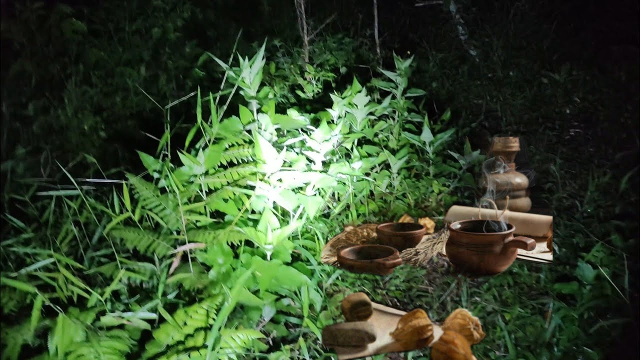 Hutan Tempat Para Dukun_Pengganda Uang Goib