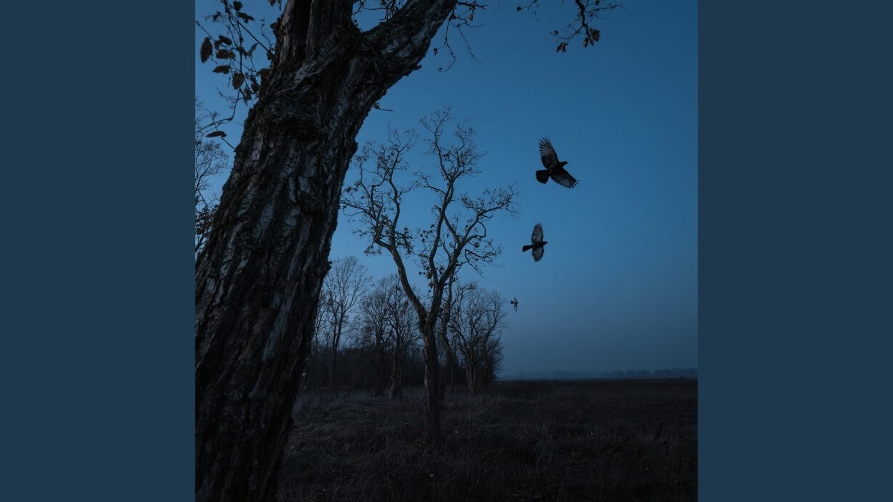 Forest of Lament