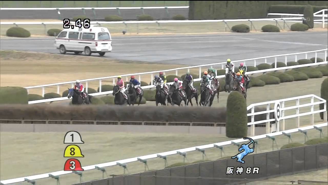 2011年3月21日 阪神スプリングジャンプ（Ｊ・ＧⅡ） オープンガーデン