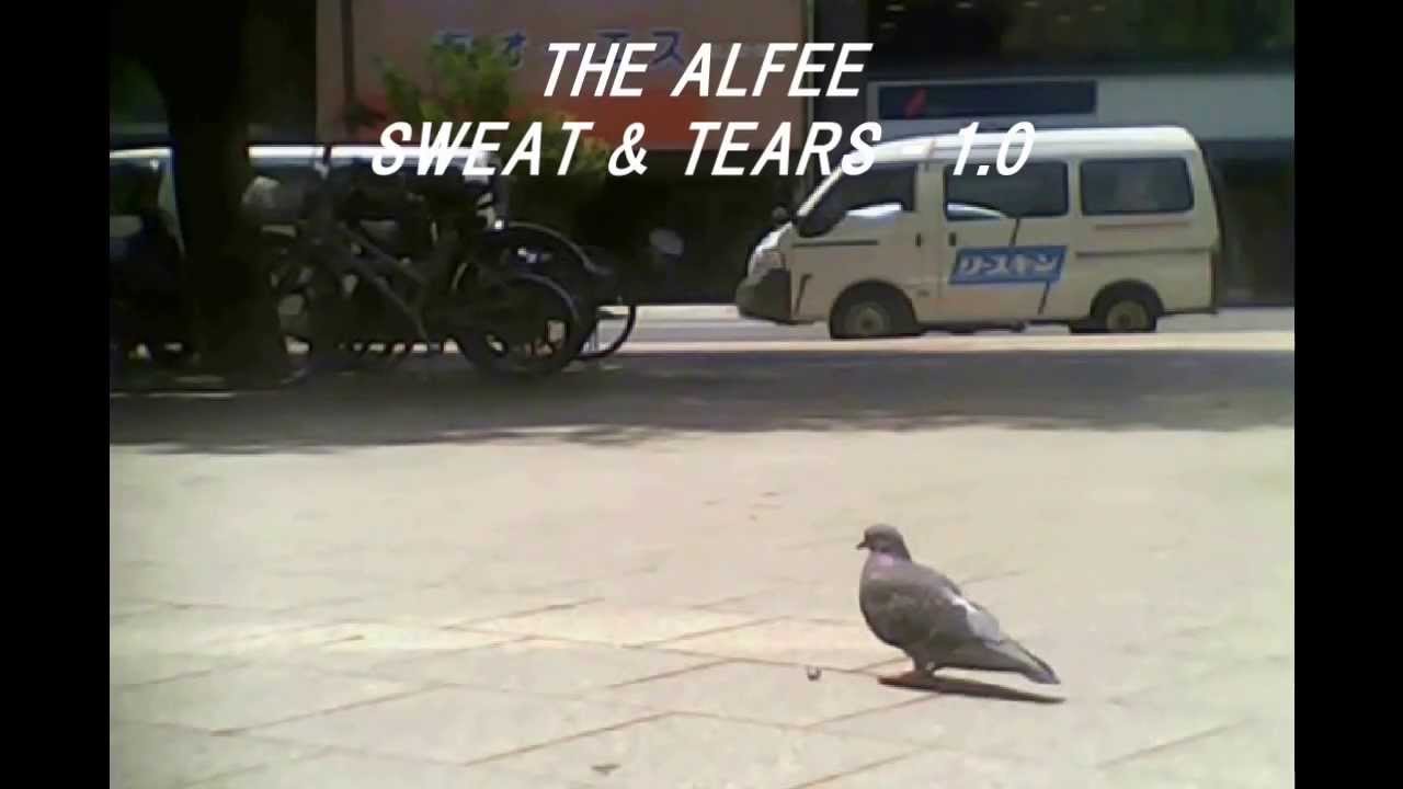 SWEAT & TEARS　THE ALFEE - 1.0（歌詞付）