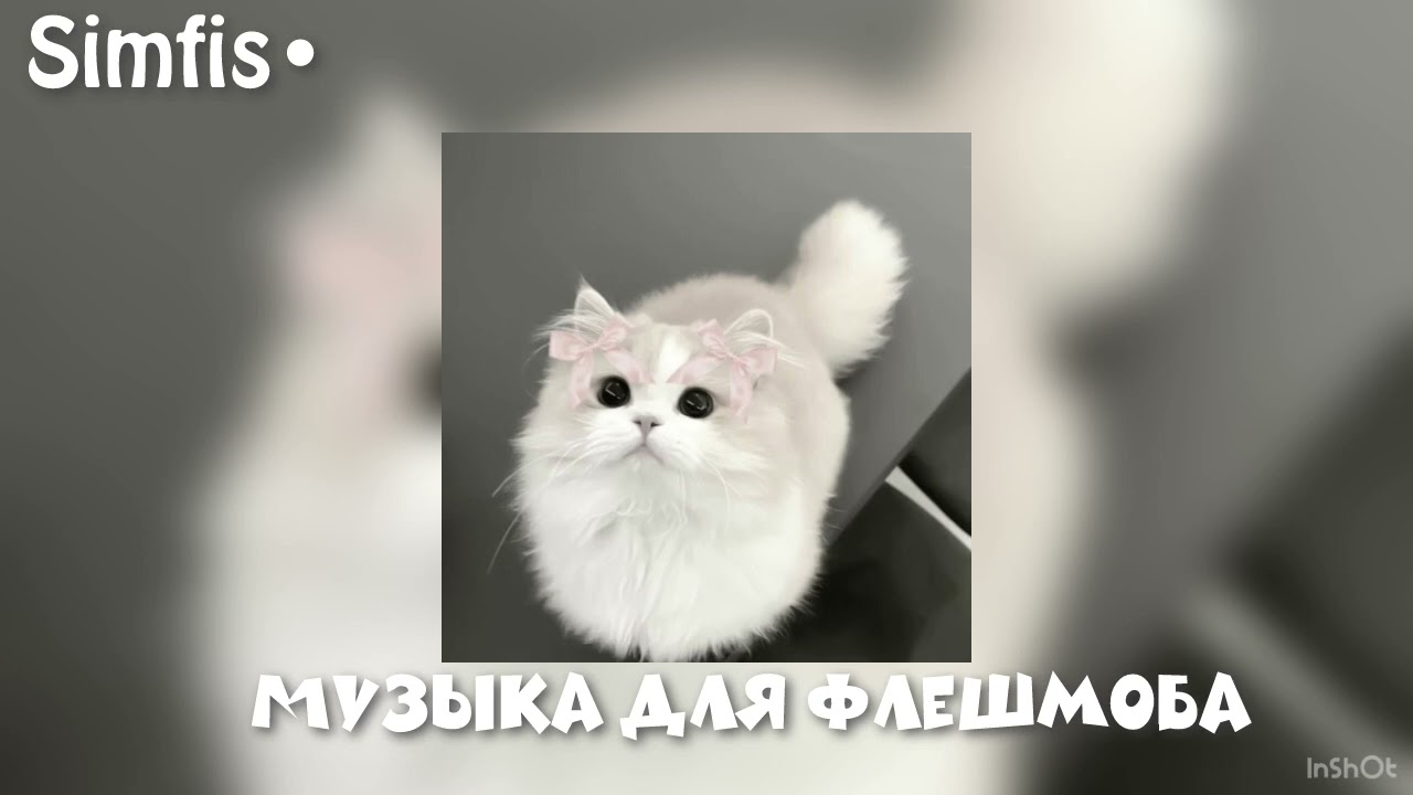 🫦Музыка для флэшмоба🫶☺️