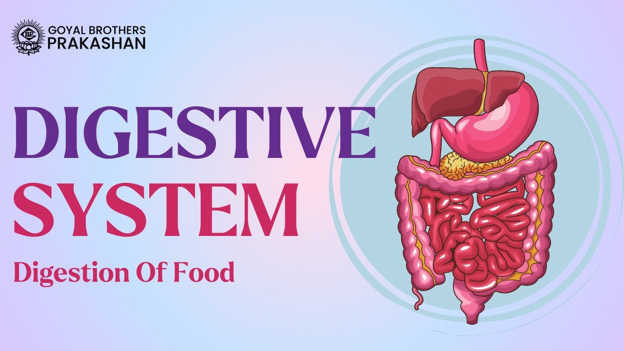 Digestion of Food | Digestive System | Class-6 | Biology | Goyal Brothers Prakashan