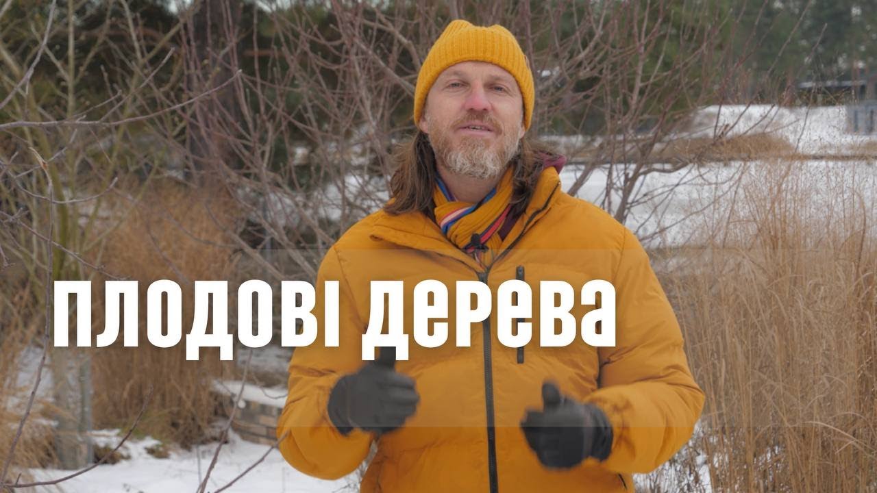 ЛАНДШАФТНИЙ ДИЗАЙН | ПЛОДОВІ ДЕРЕВА У САДУ