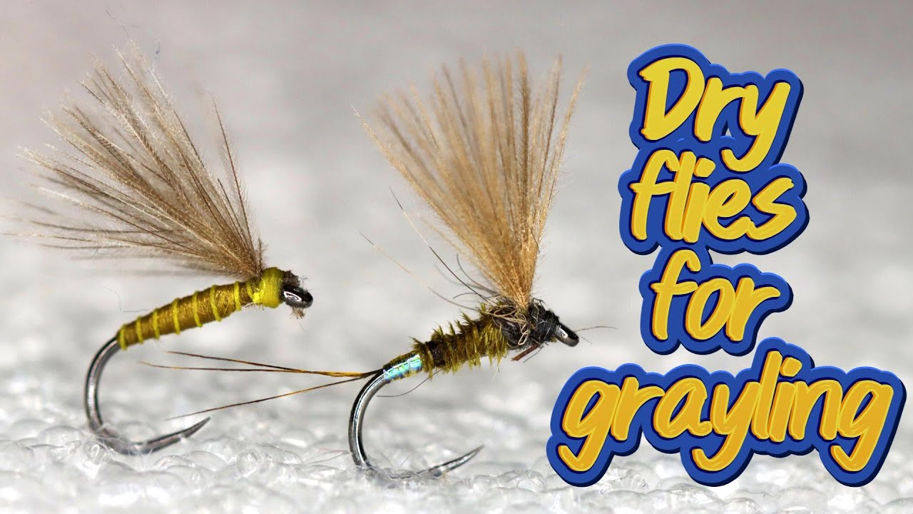 Dry flies for grayling || sucha mucha || flyfishing