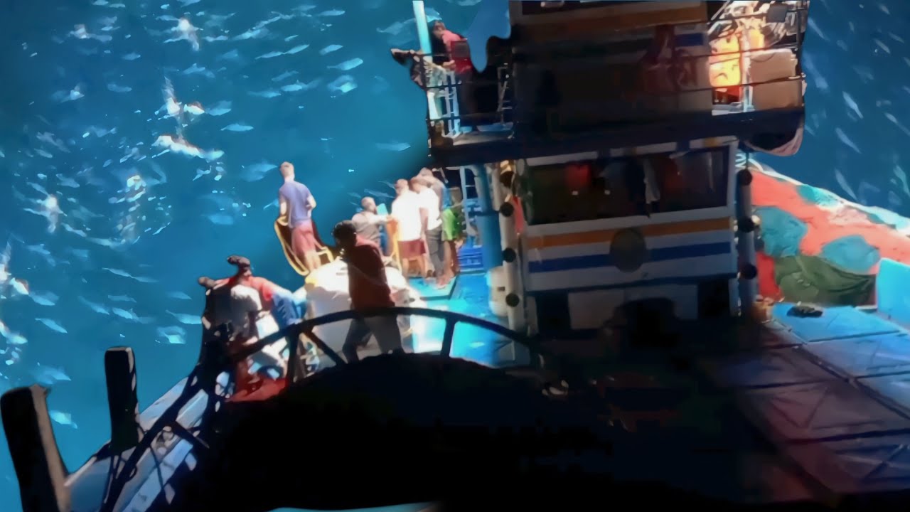 My First Time BOAT Ki लाइट से इतनी सारी समुंदर की मछली 🐠😮