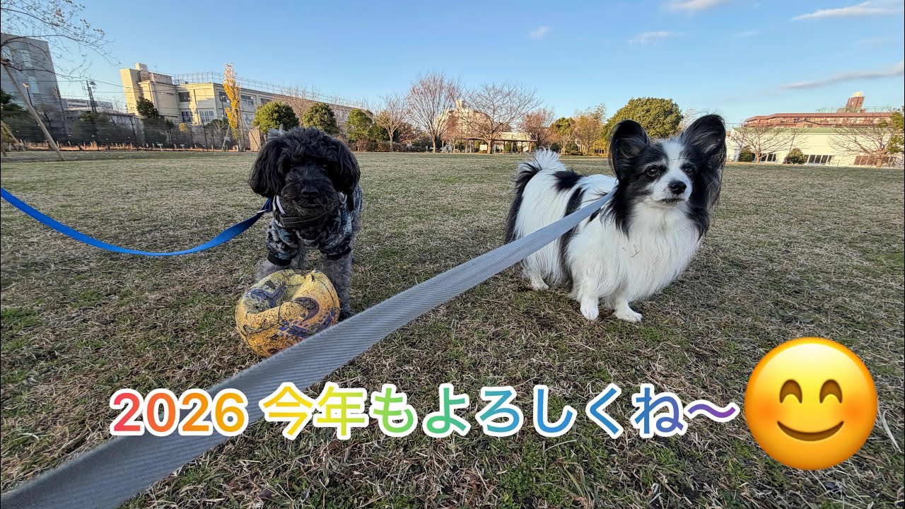 2026年　✨スタート✨