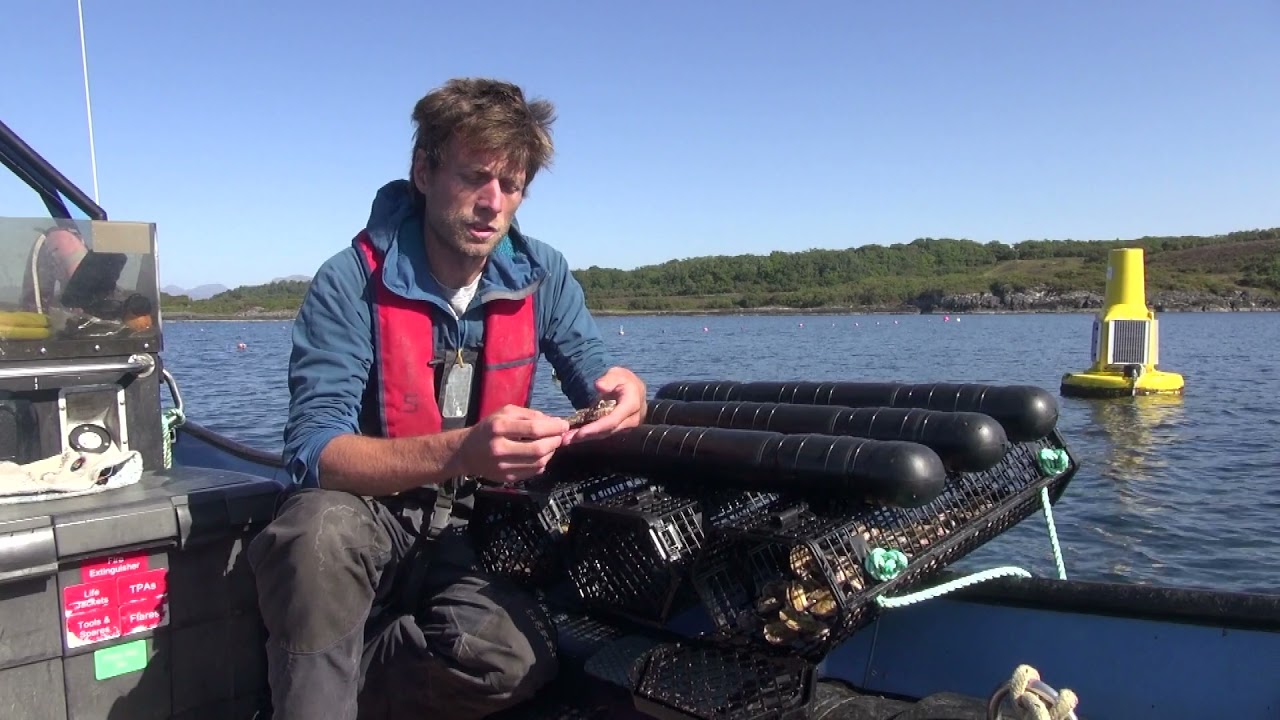 ASTRAL IMTA Lab - Scotland. Partner organisation: The Scottish Association for Marine Science (SAMS)