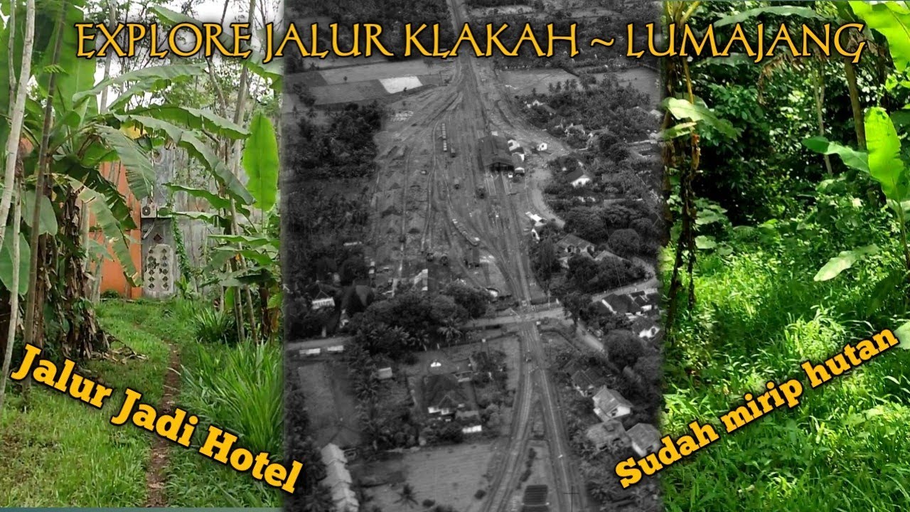 Awal Percabangan Jalur KA ke arah Lumajang | Ex Jalur KA Klakah - Lumajang  Part1