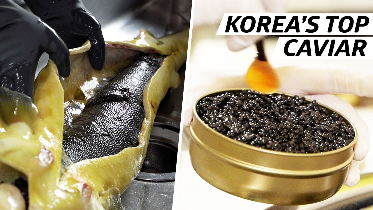 How Cheol Hong Park Produces Some of Korea's Finest Caviar — Vendors
