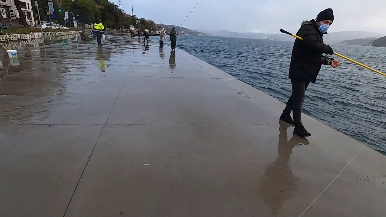 İstanbul Boğazı Kurşun arkası Rapala Çinekop Avı #Bluefısh