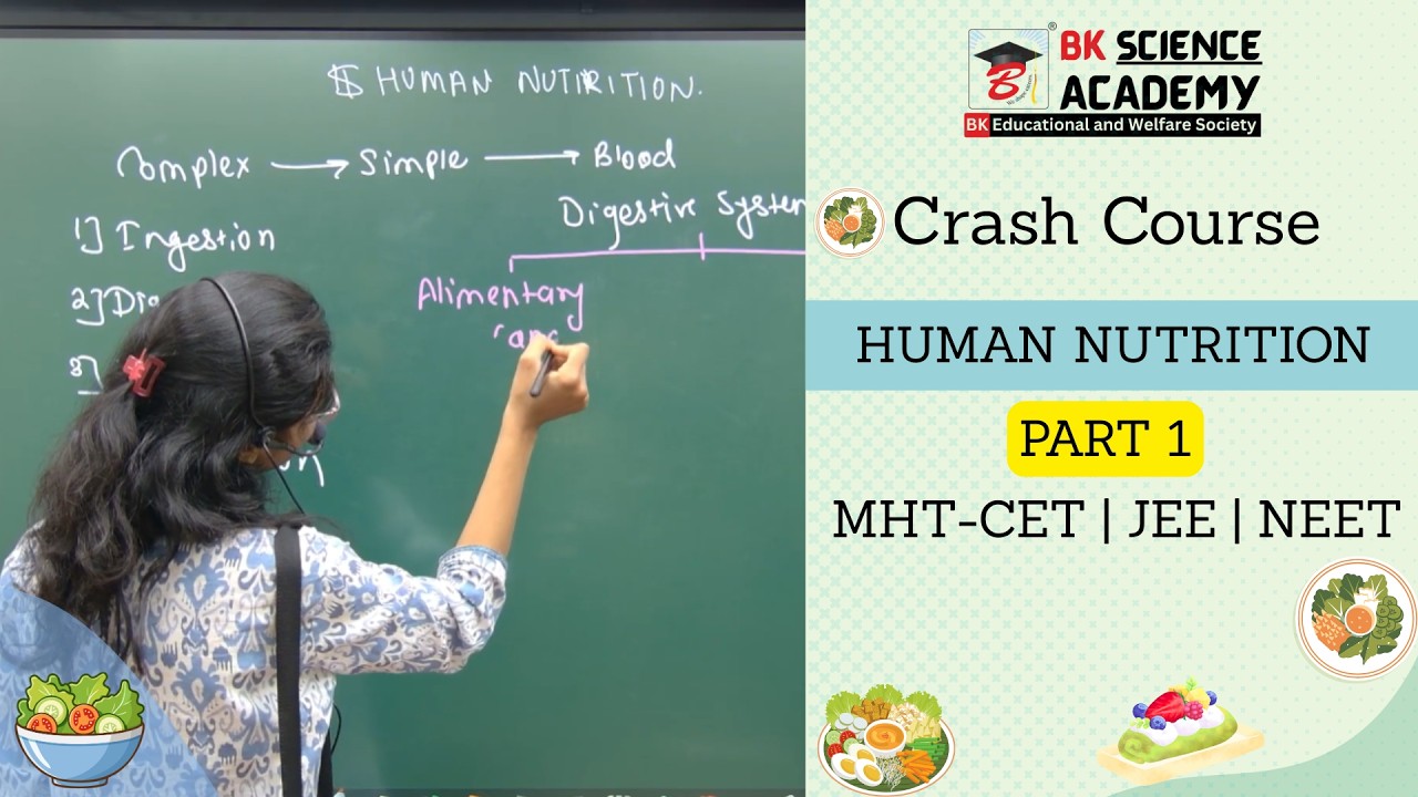 Human Nutrition Part 1| Crash Course | MHT-CET | JEE | NEET | BK Science Academy |#mhtcet